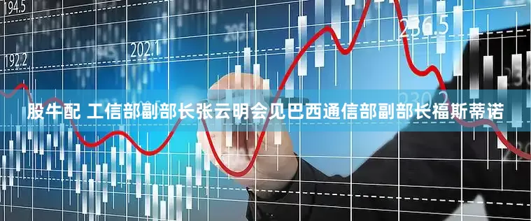 股牛配 工信部副部长张云明会见巴西通信部副部长福斯蒂诺
