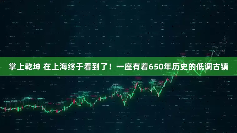 掌上乾坤 在上海终于看到了！一座有着650年历史的低调古镇