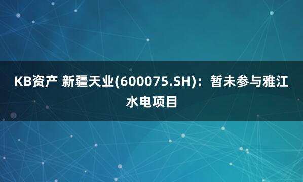 KB资产 新疆天业(600075.SH)：暂未参与雅江水电项目