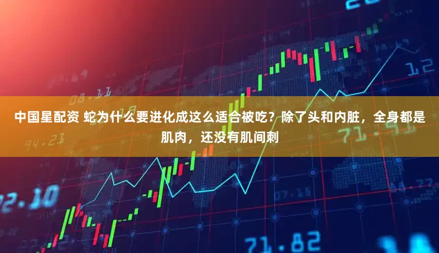中国星配资 蛇为什么要进化成这么适合被吃？除了头和内脏，全身都是肌肉，还没有肌间刺